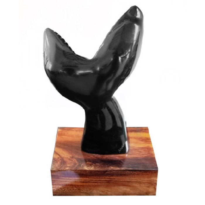 Aleta Ballena