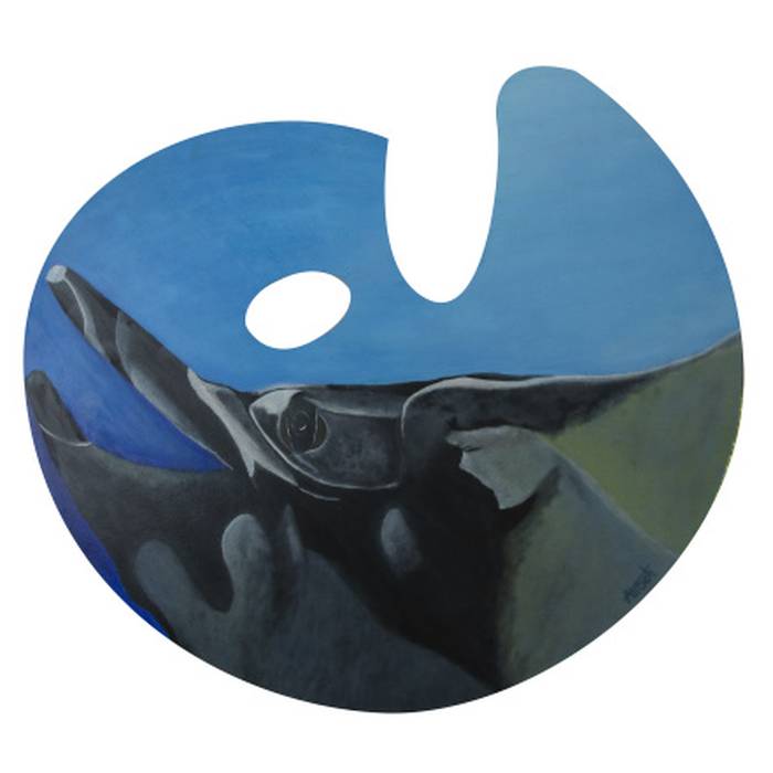 Manta Gigante